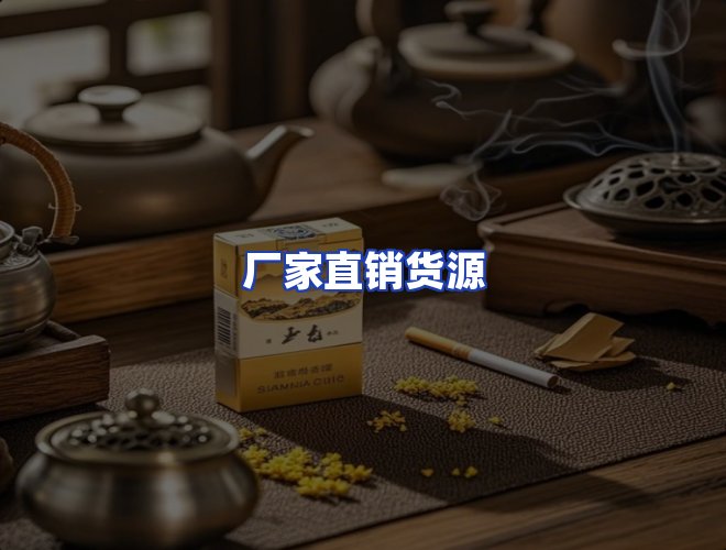 专业团队